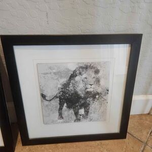 Framed Black & White Lion and Zebra African Print Wall Art 16x17.5" Set of 2
